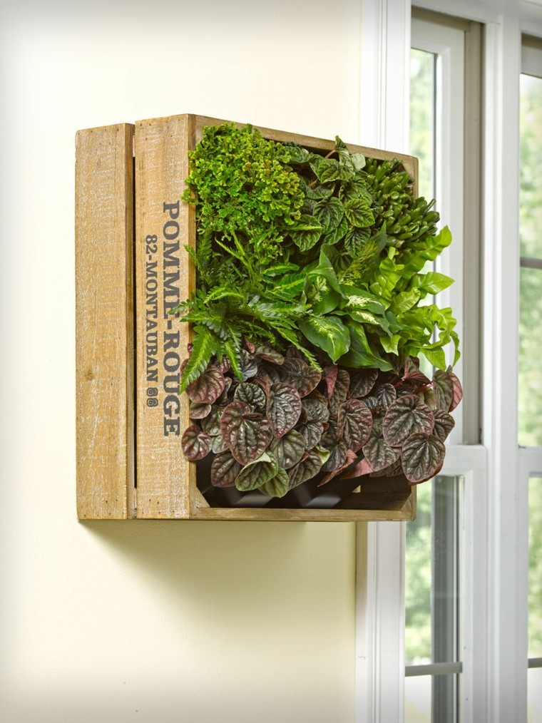 palet viejo madera plantas vertical