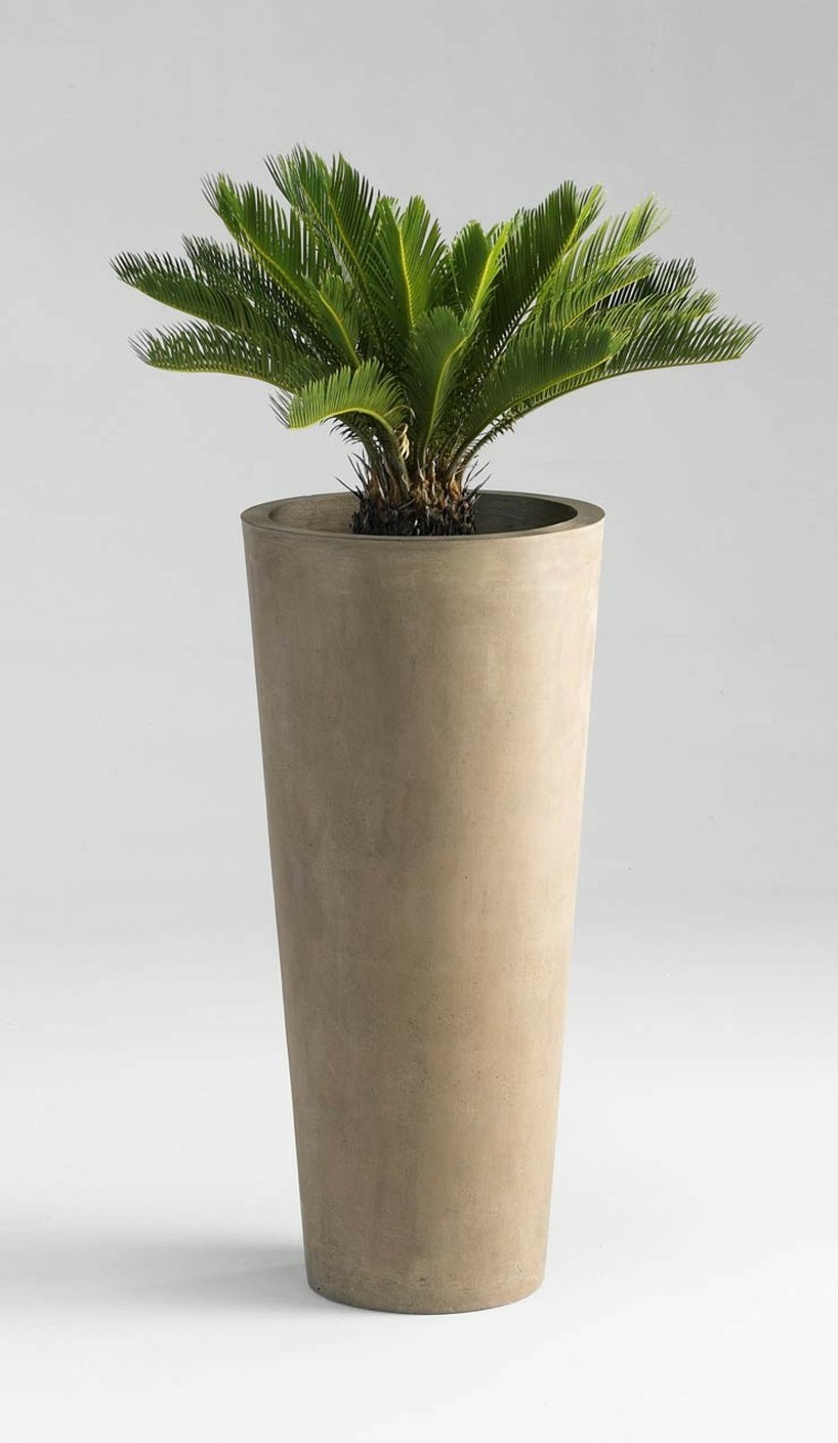 palmera cilindrico exterior planta hormigon