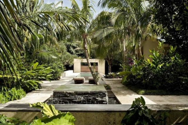 palmeras paisaje bonito jardin fuente
