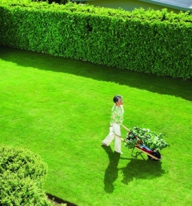 Cesped en el jardín: consejos para mantenerlo verde
