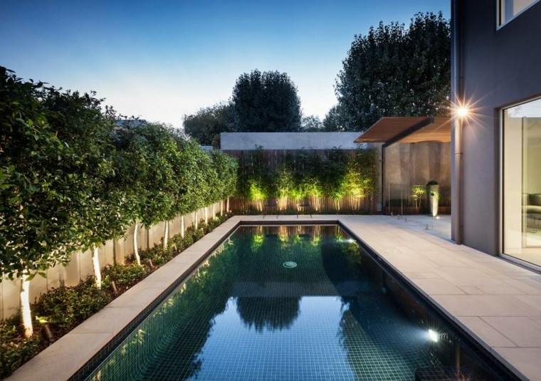 piscina larga led plantas moderno patio