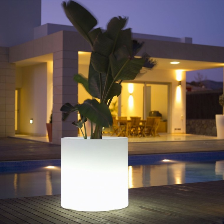 piscina luces macetero planta focal