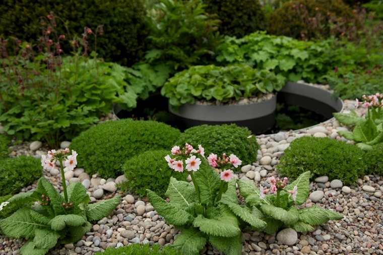 guijarros y cantos rodados para decorar plantas flores piedras cantos redondas