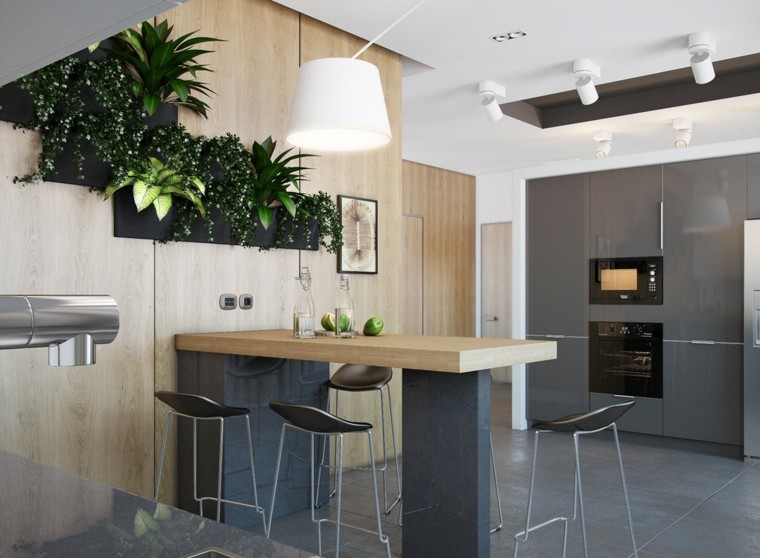 plantas pared cocina moderna moderna