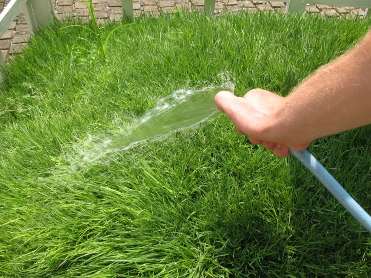 regar hierba jardin manguera mano