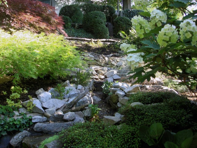 rocas plantas patio jardin flores diseño