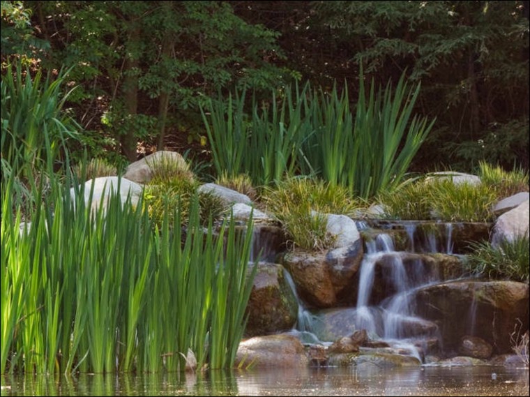 Cataratas y cascadas en el jardín - 75 ideas