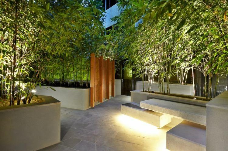caña de bambu jardines modernos