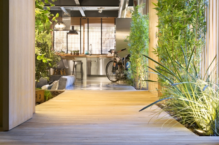 diseño oasis plantas interior diseño 
