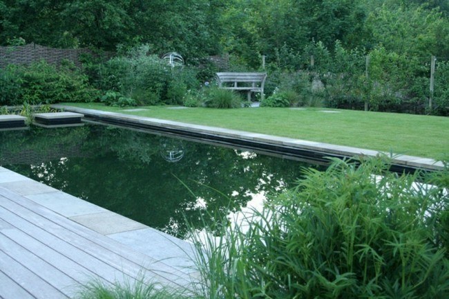 diseño piscinas jardin verde