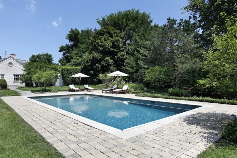 estilo simple jardines piscinas forma rectangular ideas