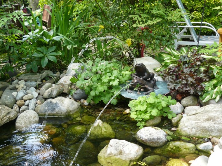 fuente estanque natural rana plantas