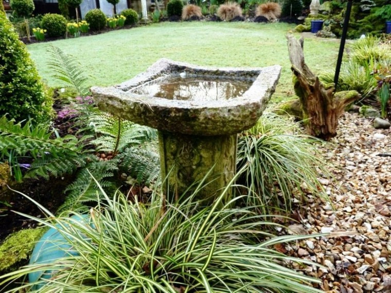 fuente piedra aspecto viejo plantas