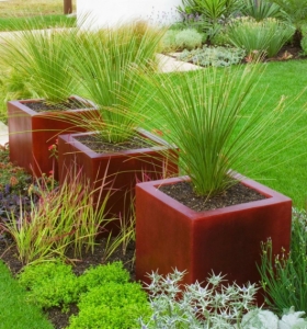 Hierbas ornamentales - lo que hace diferente tu jardín.