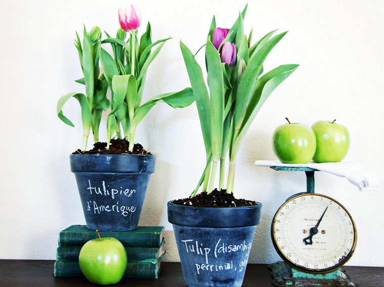 macetas decorar tulipanes aguantar tiempo ideas