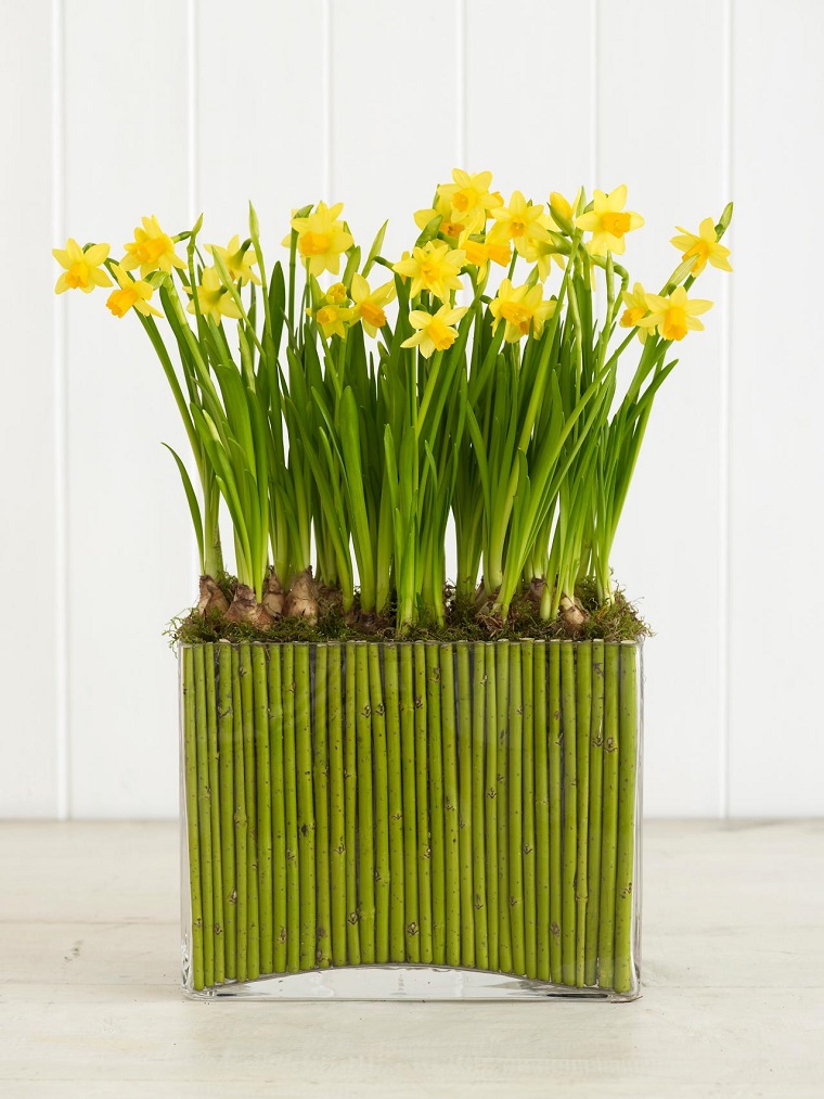 narcisos amarillos recipiente grande lleno tierra bambu ideas