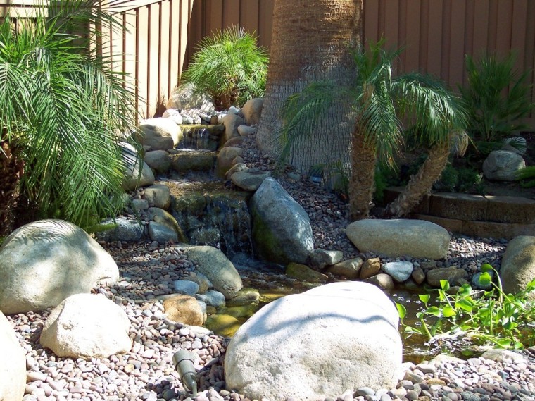 oasis palmeras estanque piedras jardin