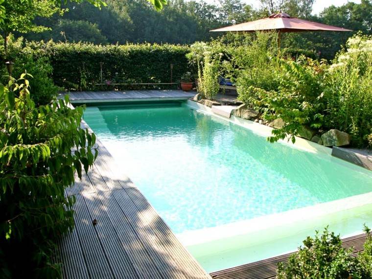piscinas diseño vegetacion abundante sombrilla