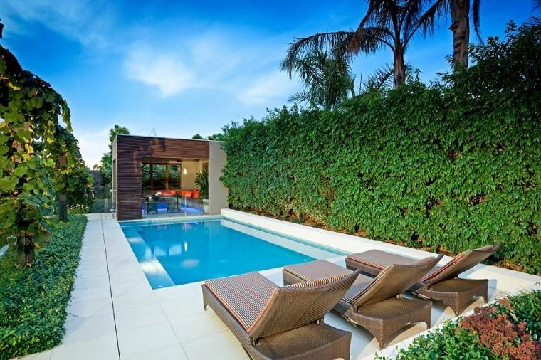 piscinas jardines diseño tumbonas bajas palmeras