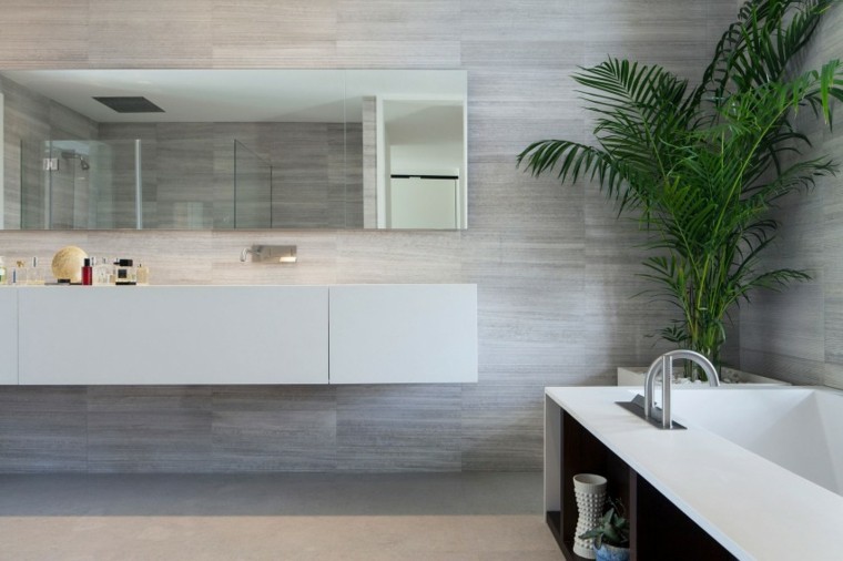 planta en maceta decorando el baño moderno al estilo minimalista banos estilo minimalista moderno planta maceta ideas