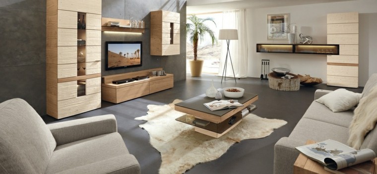 color gris pared salon amplio moderno ideas
