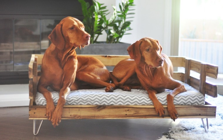 dos perros cama pallets madera