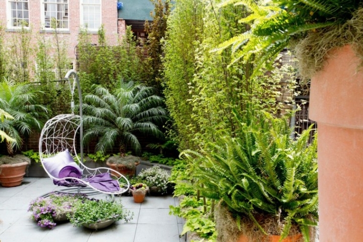 Espacio para jardines pequeños - 75 diseños impresionantes.