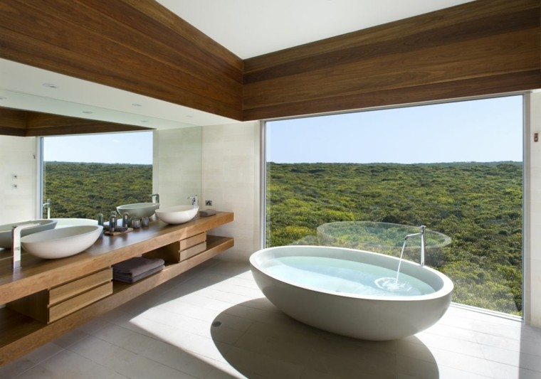 interiores de casas modernas baño bañera