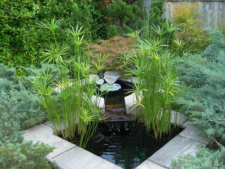 estanque jardin cañas bambu