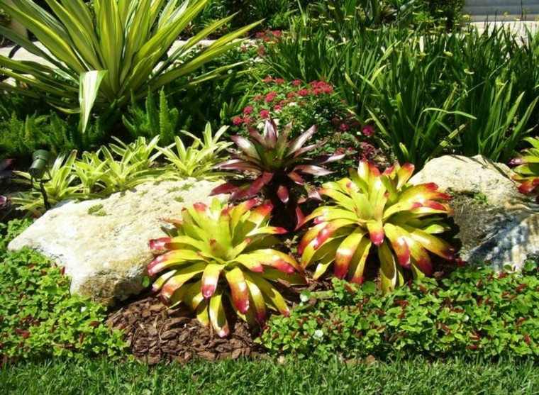 plantas diseño agradable verde llamativo