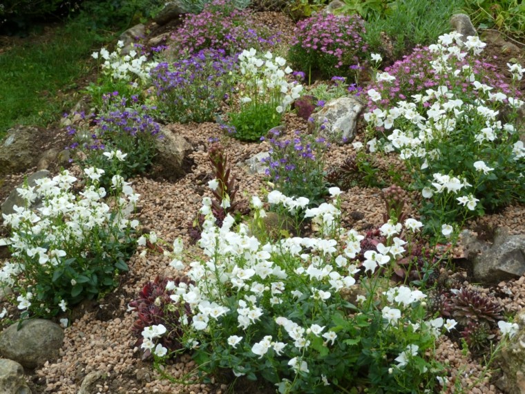 roca jardines monticulo blanco vivo