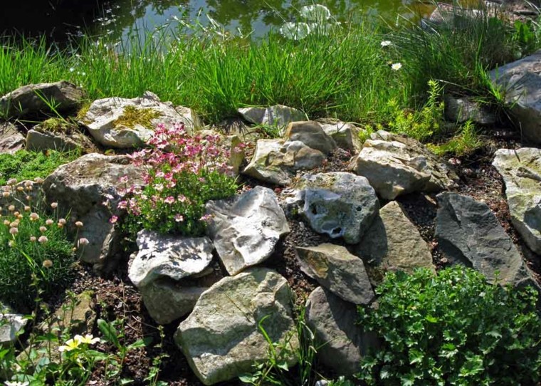 rocas laguna estanque flores plantas