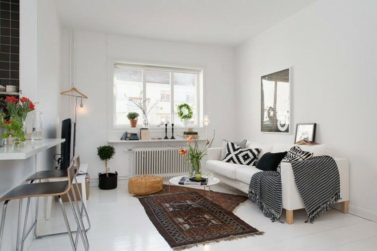 salon moderno pared blanca plantas decorativas ideas