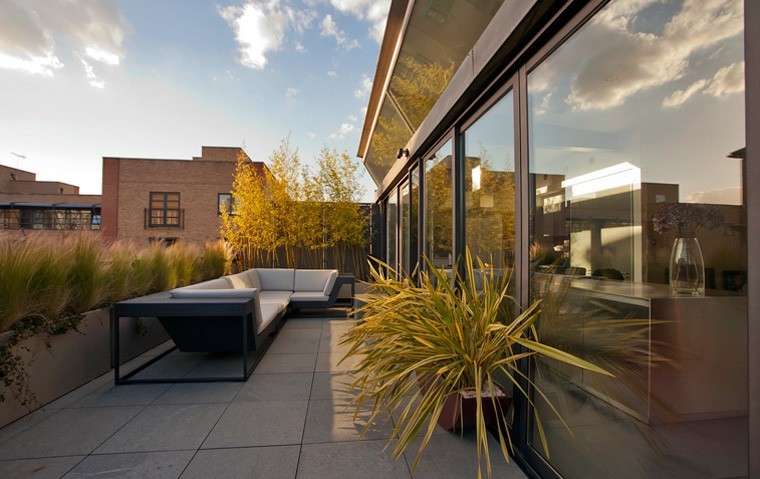 diseño paisajístico para terrazas terraza moderna plantas exterior palma