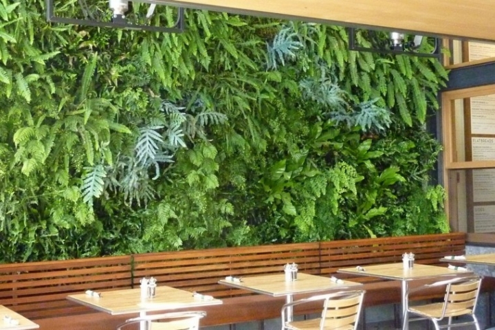 Diseño jardines verticales y naturaleza, un espacio de vida.