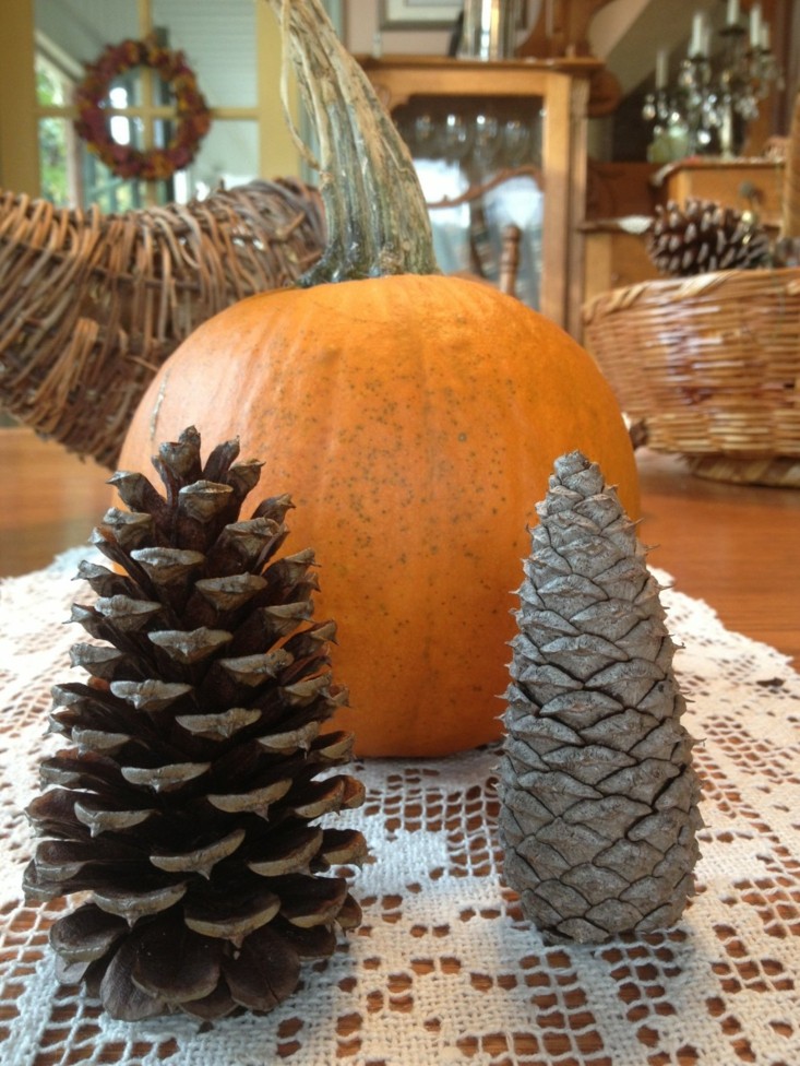 adornos minimalistas calabazas piñas pino