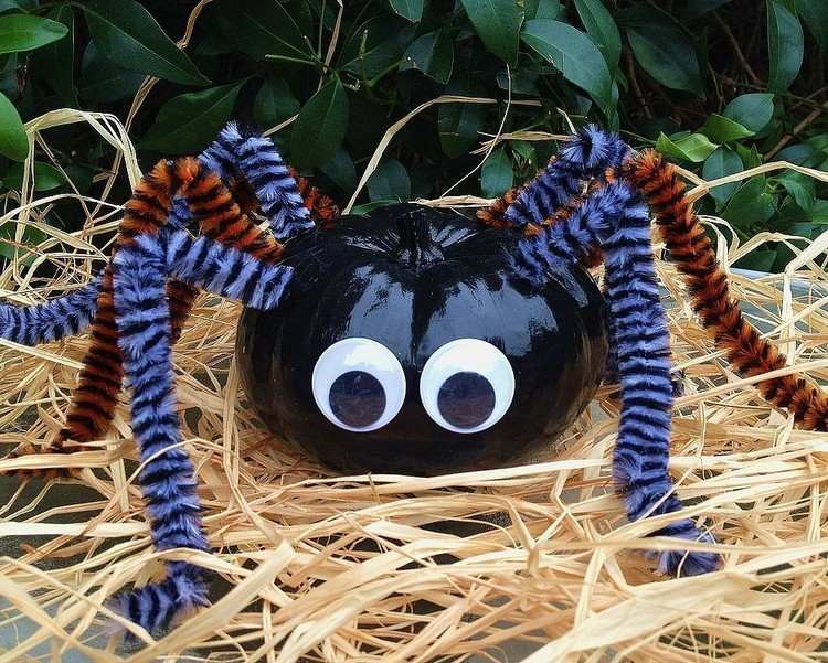 calabaza pintada tarantula negra