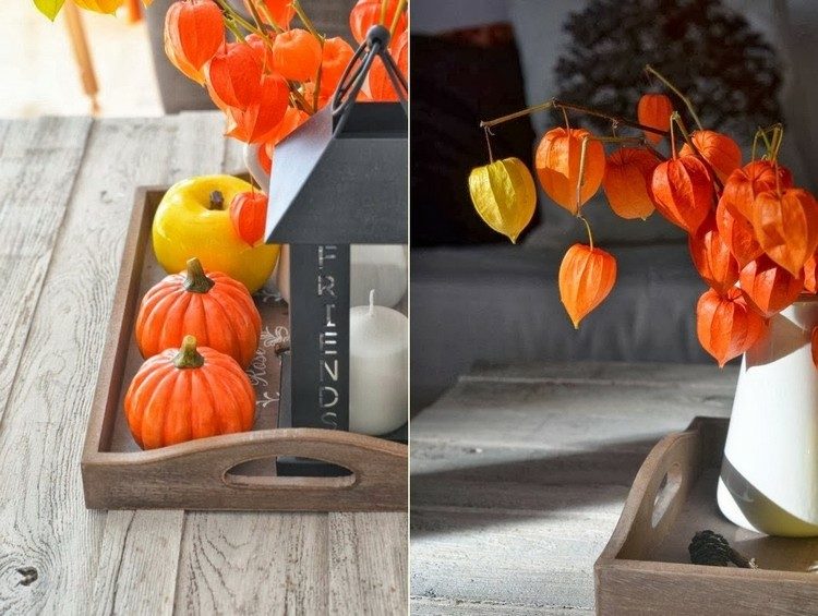 decoración otoño elementos color narAanja