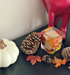 Calabaza y piñas de pino como decoración de otoño