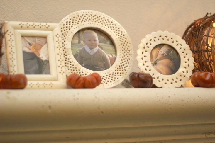 pequeñas calabazas decorativas marcos fotos
