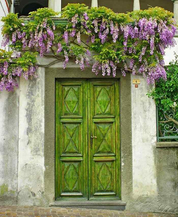 puerta entrada verde flores lilas