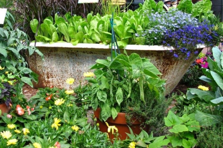 Reciclaje creativo, 50 ideas geniales para un patio diferente.