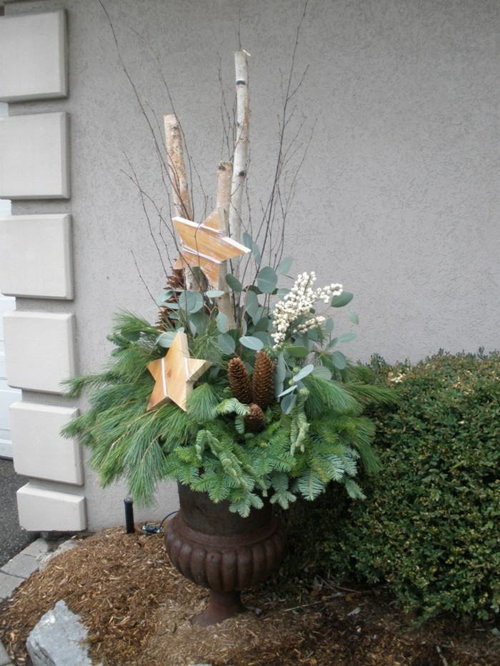 adornos plantas naturales navidad ramas