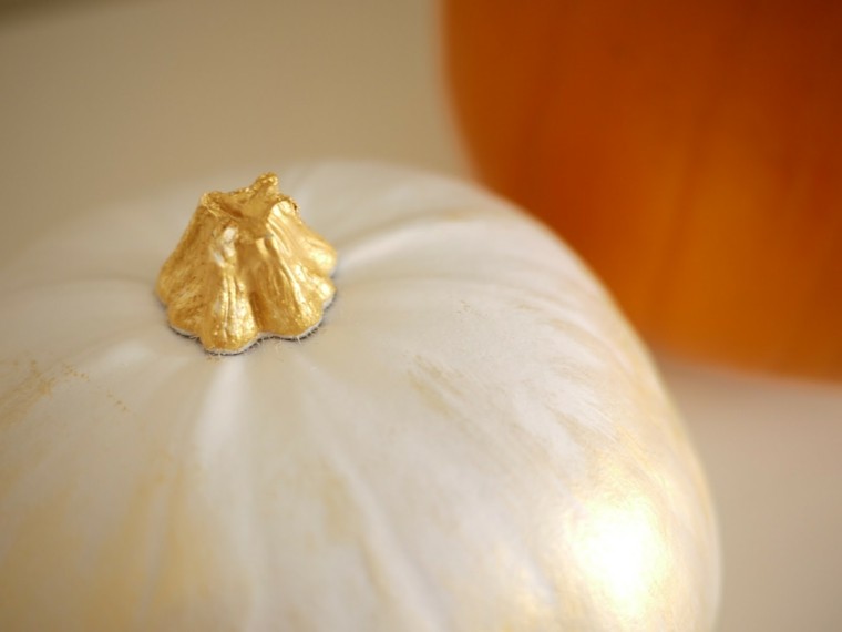 Calabazas y adornos de otoño de colores inusuales