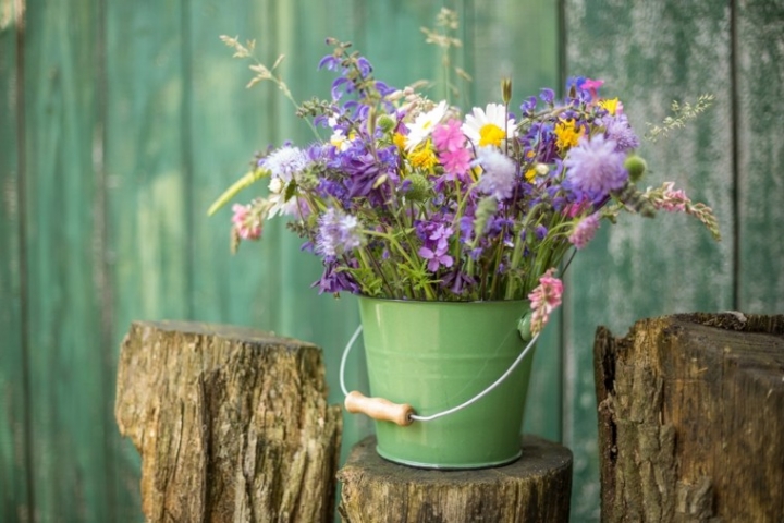 Fotos de flores de otoño para decorar la casa