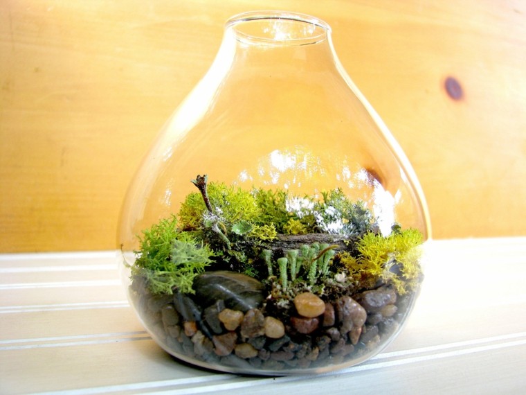 regalos de navidad amantes plantas teraneum ideas