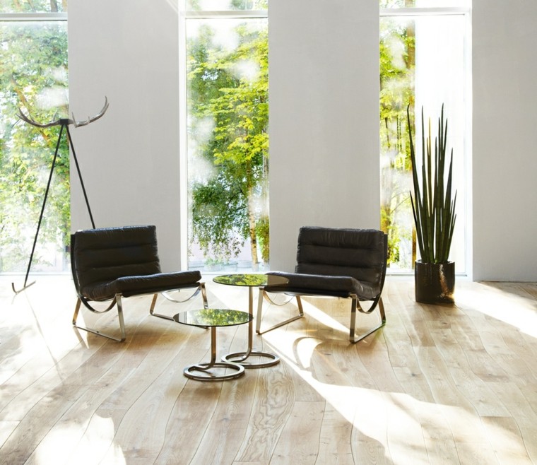 suelos de madera interiores forja luminoso plantas