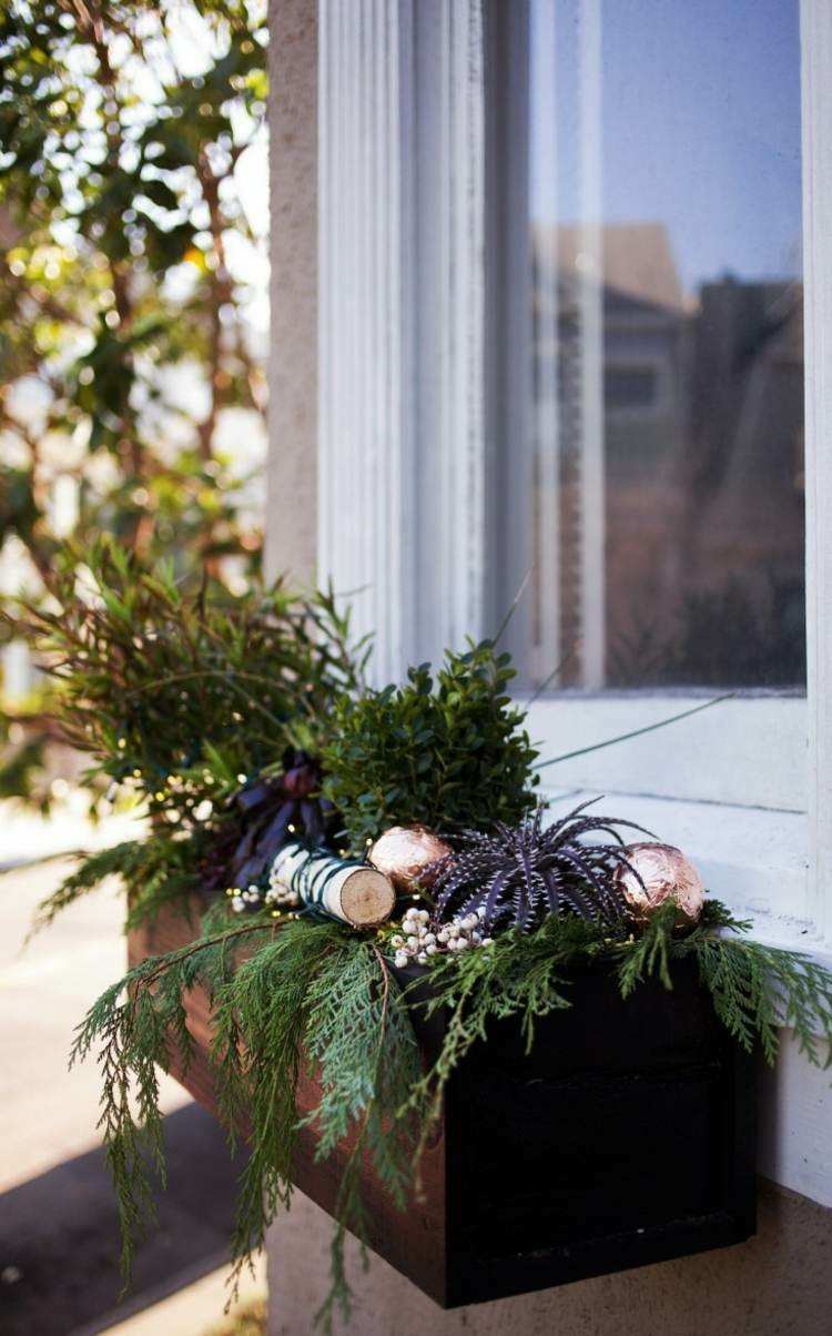 adornos navideños ventanas caja plantas jardines