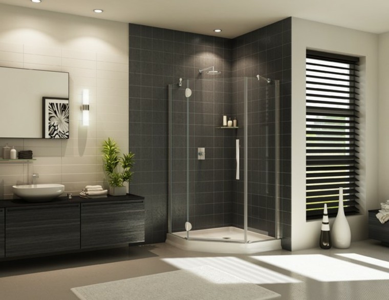 baños modernos con ducha jarrones plantas