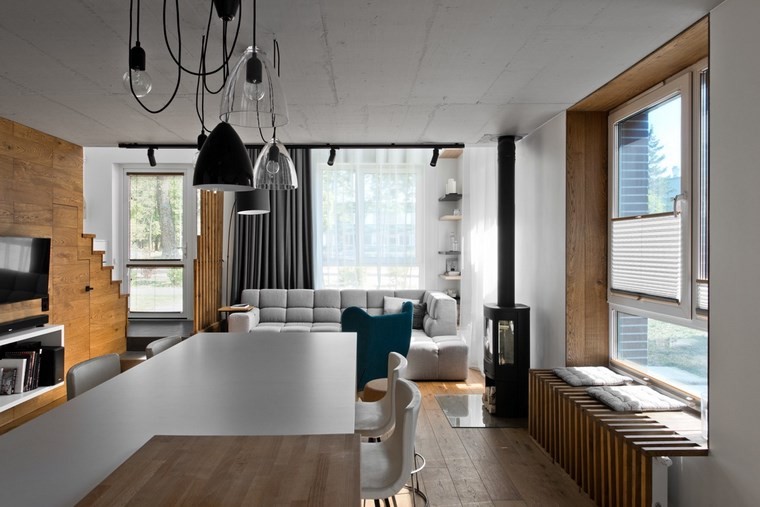 diseno de interiores estilo escandinavo salon sofa gris ideas